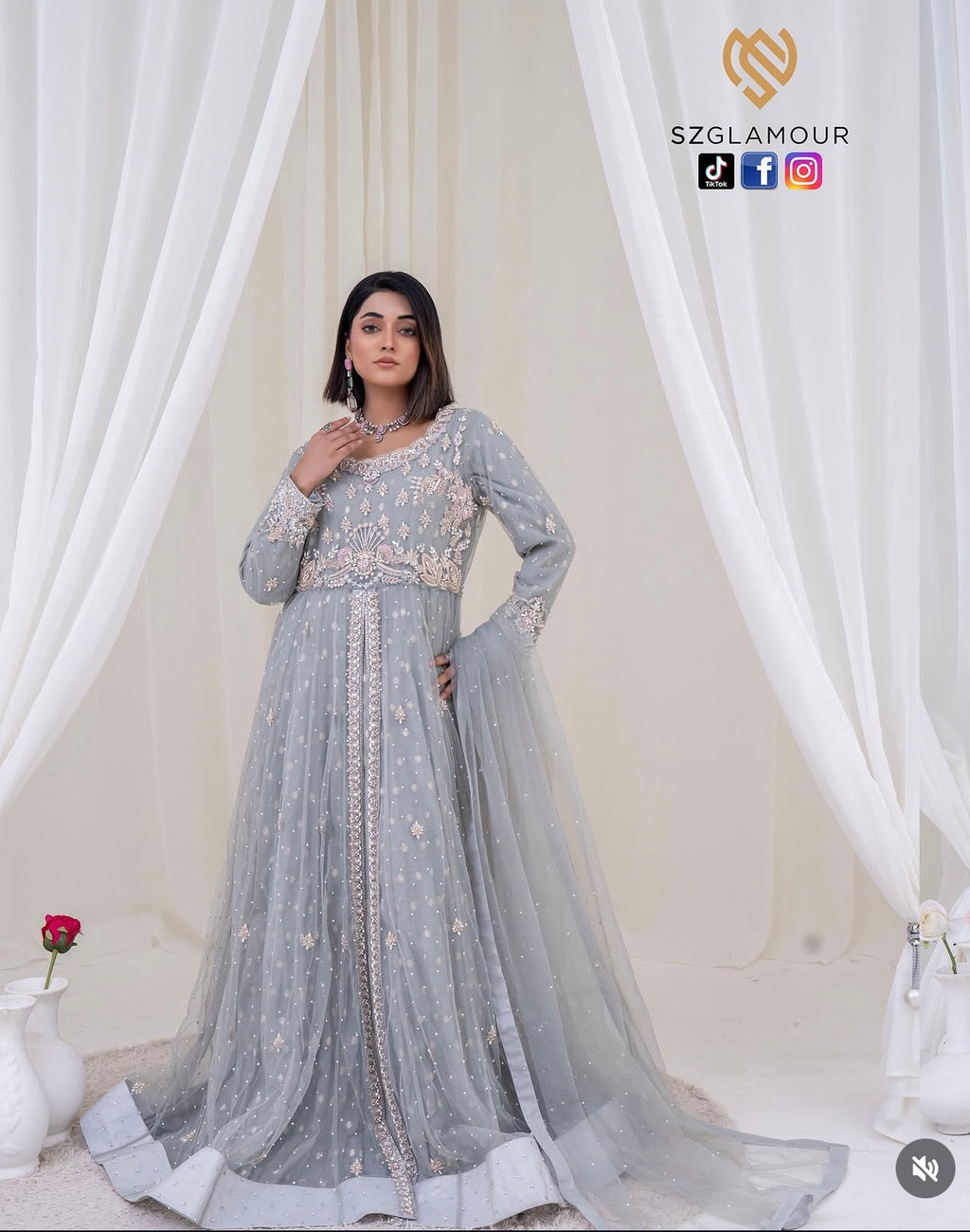 Soft grey net, intricate silver embellishments