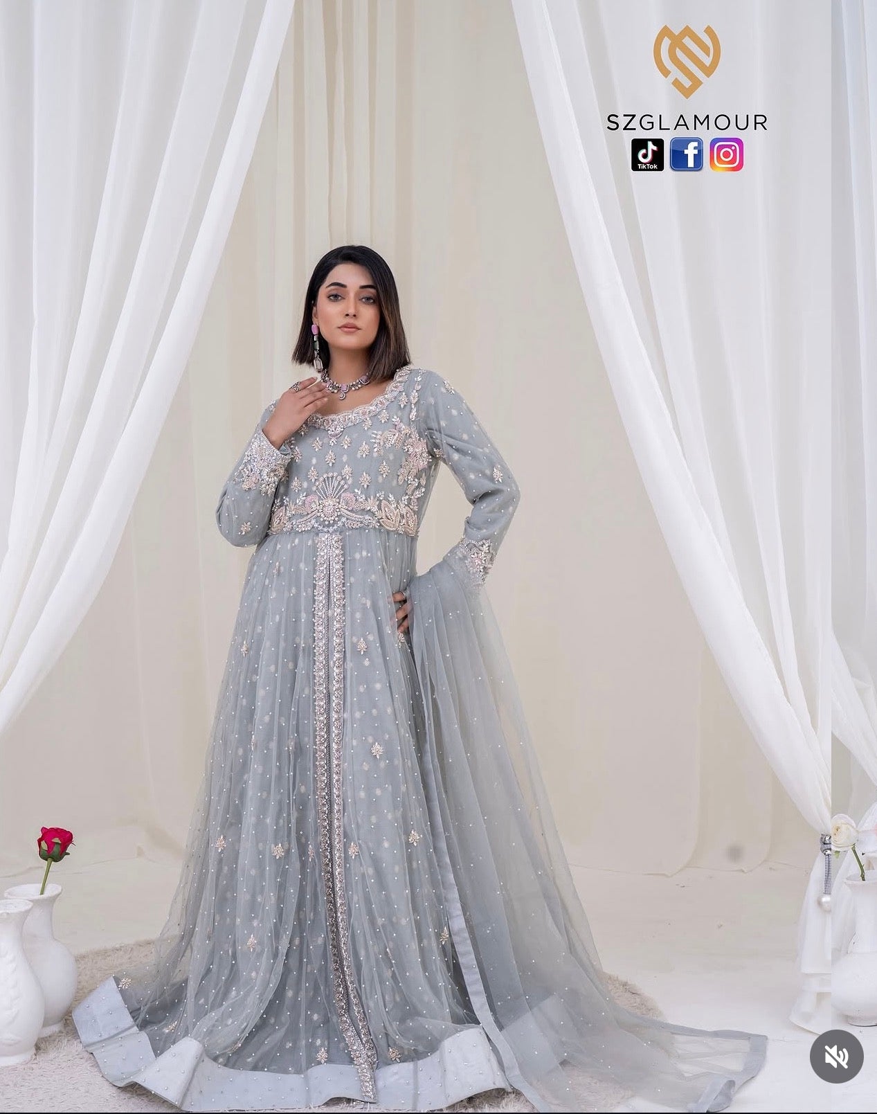 Soft grey net, intricate silver embellishments