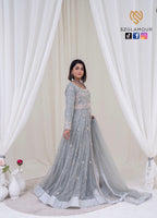 Soft grey net, intricate silver embellishments