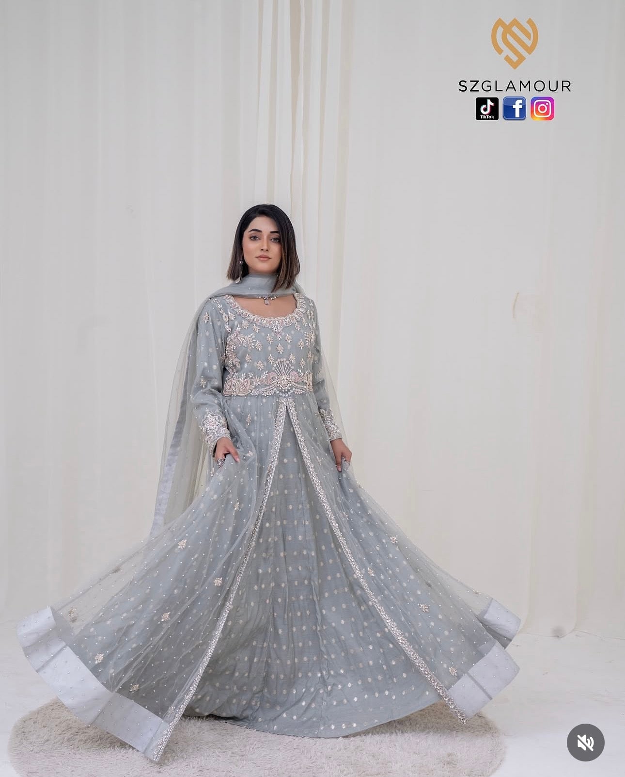 Soft grey net, intricate silver embellishments